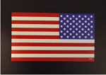 pcx reverse USA flag